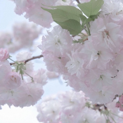 福泉FurryQQ群介绍